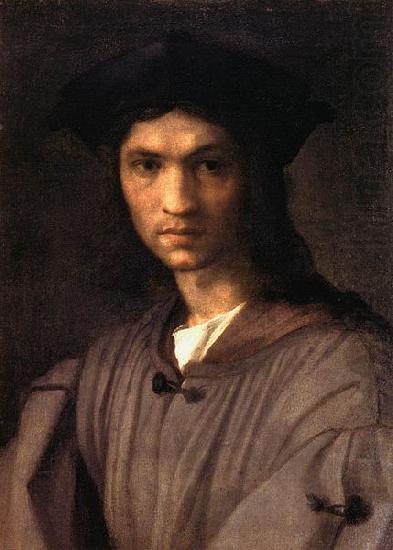 Andrea del Sarto Portrait of Baccio Bandinelli china oil painting image